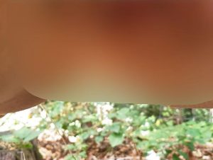 Melina-May Porno Video: Geiler pi**strahl am Autobahnparkplatz